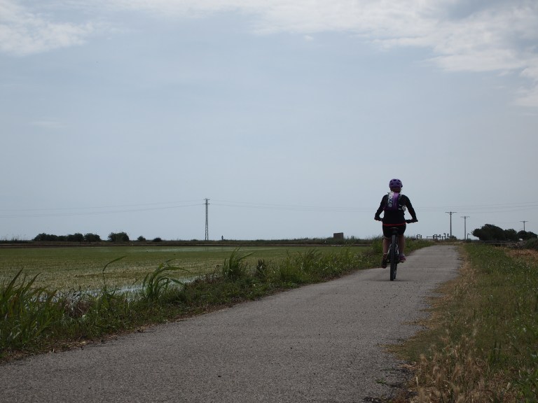 Cicloturismo por el Delta del Ebro